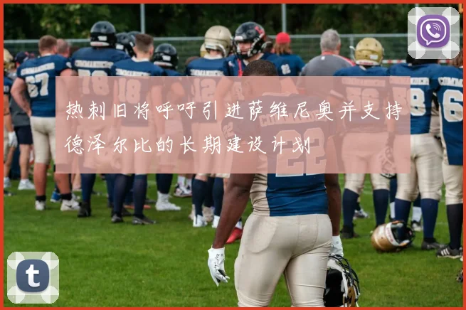 热刺旧将呼吁引进萨维尼奥并支持德泽尔比的长期建设计划