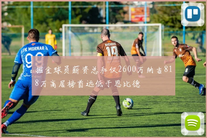 掘金球员薪资总和仅2600万纳吉818万高居榜首远低于恩比德