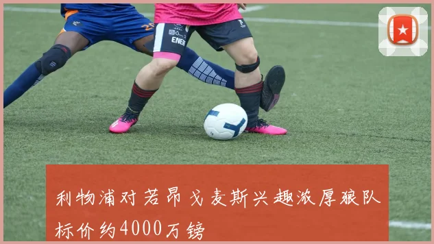 利物浦对若昂戈麦斯兴趣浓厚狼队标价约4000万镑