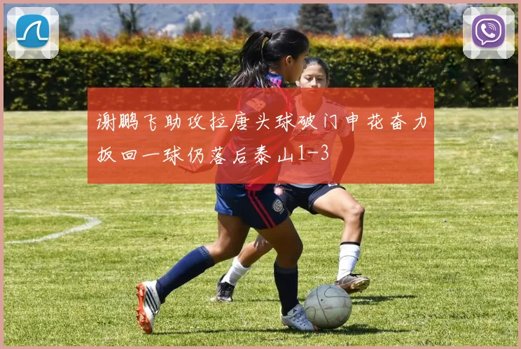 谢鹏飞助攻拉唐头球破门申花奋力扳回一球仍落后泰山1-3